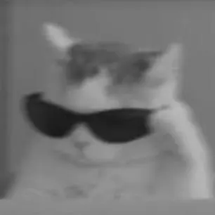 *𝚂𝙸𝙽𝚃𝙾𝙽𝙸𝙰*™ (background)